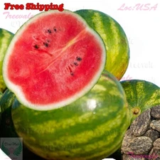 Florida Giant Watermelon Seeds | NON-GMO