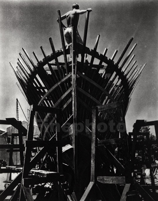 WESTON’S WESTONS　Edward Weston 264: EDWARD WESTON, Shell < Post War + Contemporary Art, 27