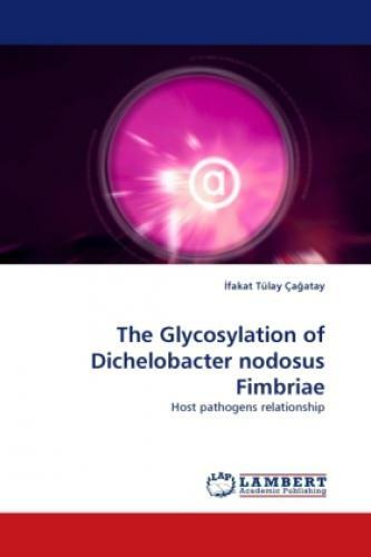The Glycosylation Of Dichelobacter Nodosus Fimbriae Host Pathogens