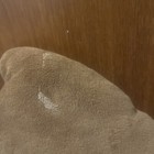 Picture 4 of 4