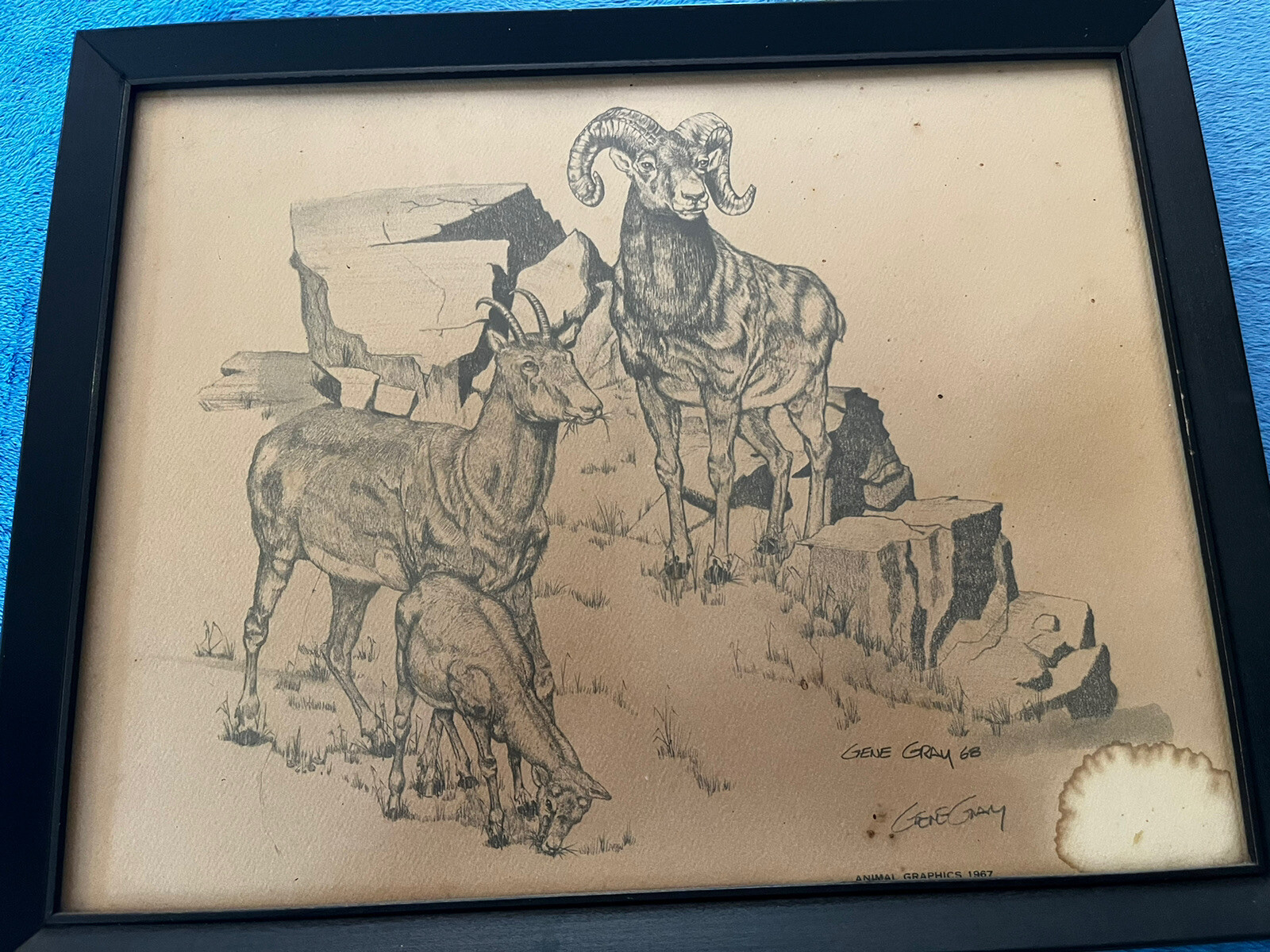Picture 4 of 7