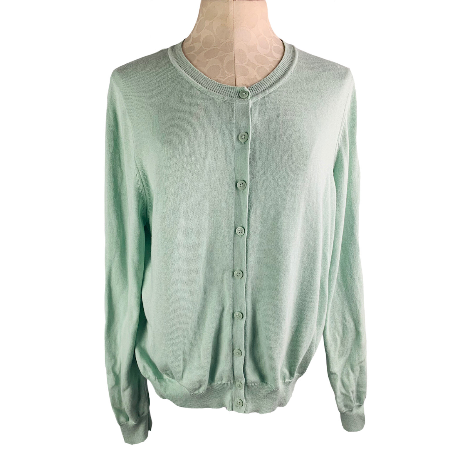 Mint Green Cardigan Sweater 