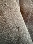 Bild 8 von 11