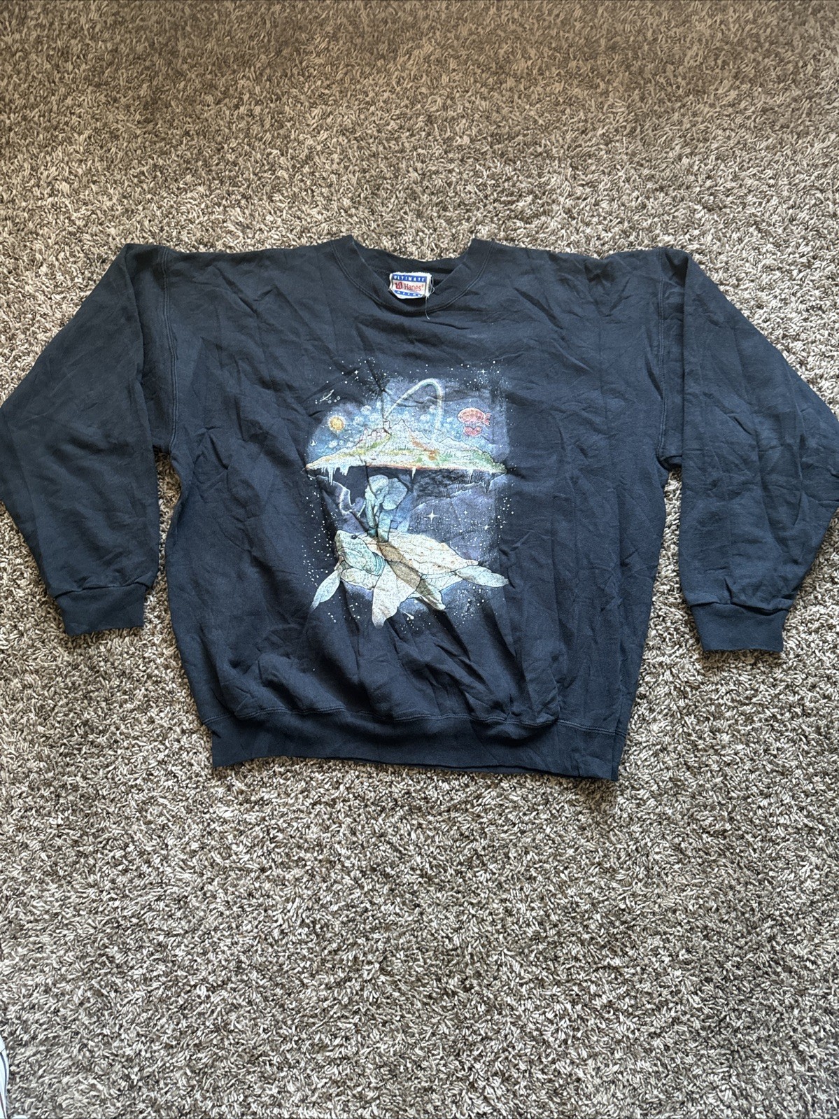 Vintage 90s Hanes  Sweatshirt Cosmic Sea Turtle Earth Fantasy Size L(42-44)
