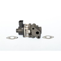 BorgWarner (Wahler) AGR-VENTIL AbgasrÜCkfÜHrung Passend FüR Fiat Sedici |