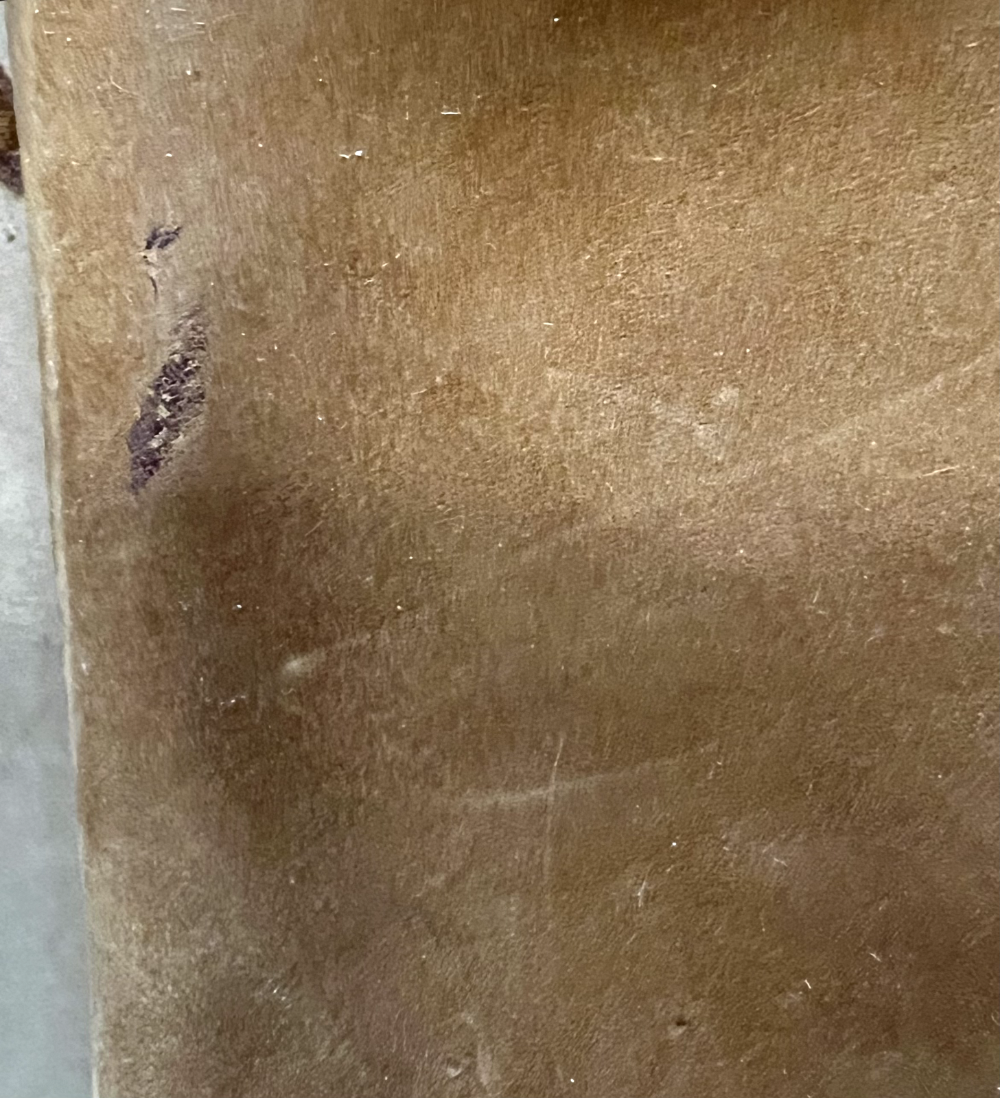 Picture 5 of 5