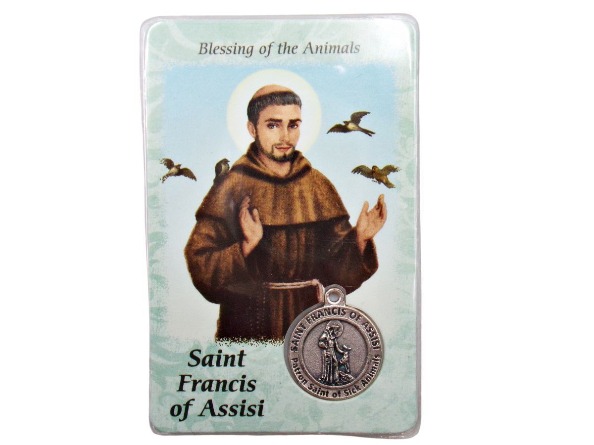 Saint Francis of Assisi Patron of Sick Animals Pendant Medal Prayer Card   In | eBay