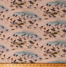 Cotton Sandpiper Pipers Beach Ocean Sand Landscape Fabric by the Yard D774.81