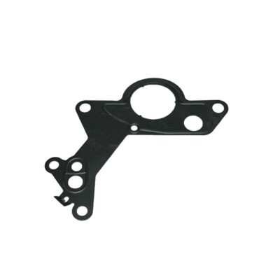 Dichtung Tandempumpe für VW Audi 1.9 TDI 038145215