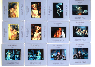 D369 12x Dias/Movie Slides BRAINDEAD Timothy Balme, Diana Peñalver, Elizabeth Mo