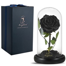 Preserved Black Rose in Glass Gift for Mom Birthday Anniversary