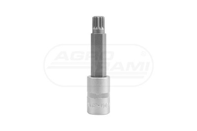 Spline Schlüssel 1/2 M6 L-100mm