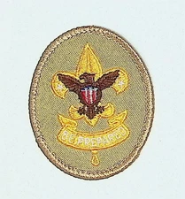 BSA First Class Scout Rank Patch Tan Modern Current Issue Mint Condition Stuff