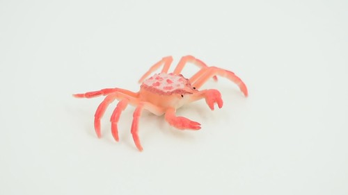 King Crab, Rubber,, Realistic, Hand Painted, Figure, Toy Model 2 1/2" F938 B157 - Vídeo 1 de 1