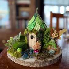 DIY Fairy Garden Kit: Nature Craft Project with Wood Base