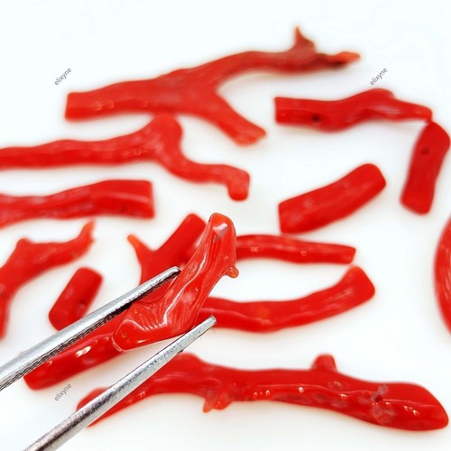 100% Natural Red Coral 31.50 Ct Mediterranean Reaf Sea Branch Certified Lot