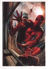 The Amazing Spider-Man Vol 7 1 NM- (9.2) (2025) Bermejo Virgin Incentive Variant