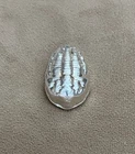 Backyard Bullion 2 oz Silver Trilobite Limited