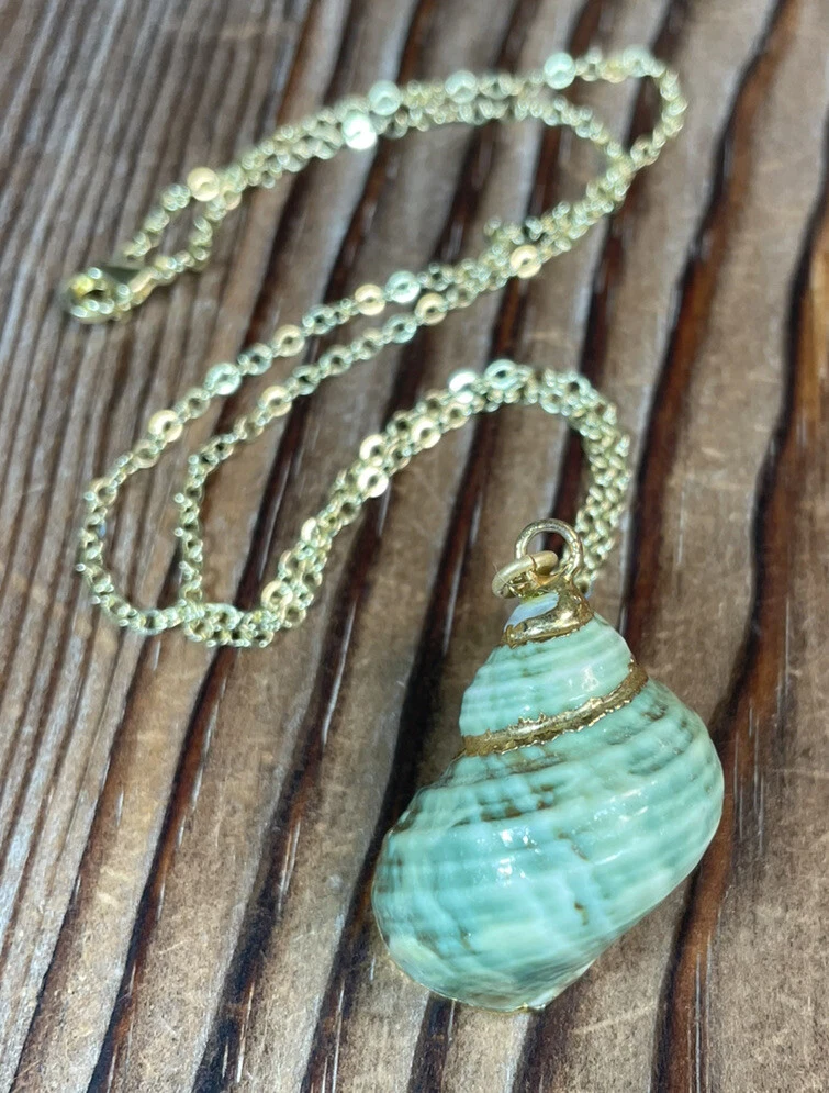 Seashell chain hotsell