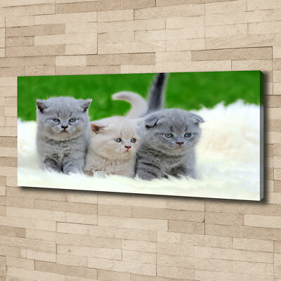 Planche En Verre Trempé Tulup 60x52 Cm - Motif Trois Chats Sur Une Couverture