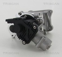 Triscan 8813 10007 Agr-Ventil FüR CitroËN,Fiat,Ford,Land Rover,Peugeot