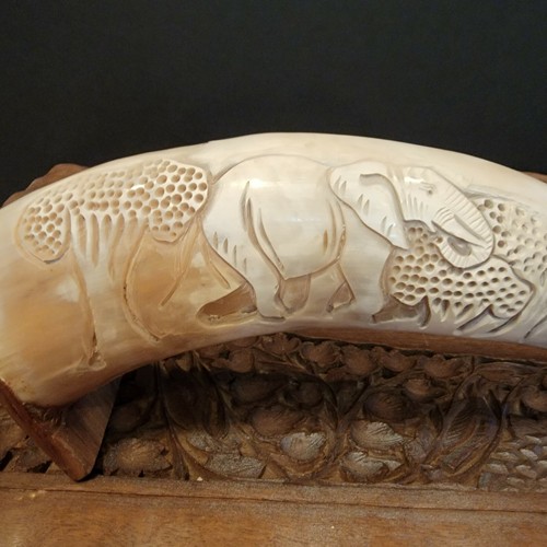 Vintage Carved Bull Horn Folk Art Sculpture elephant jungle scene Art - Picture 2 of 10