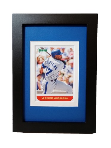 MLBカード　 vladimir guerrero jr. RC auto s-l400.jpg