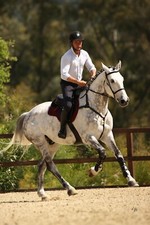 Ice Equestrian Competition Breastplate Real Merino Wool. All Sizes