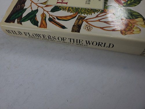 Wild Flowers of the World Painting Everard Text Morley Illustrated 1988 - Picture 4 of 14
