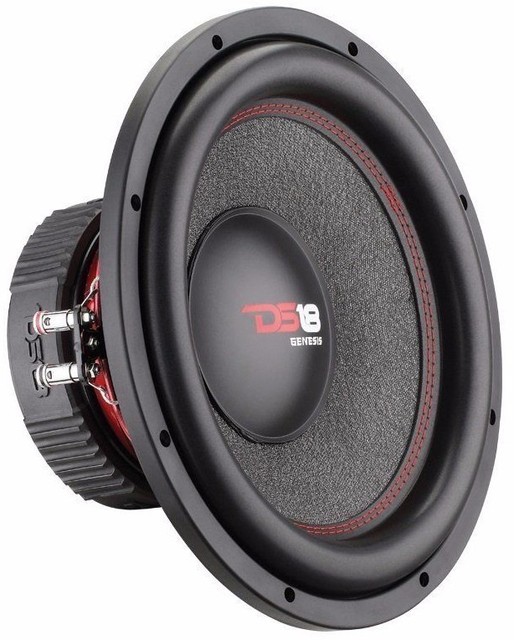ds18 10 inch subwoofer