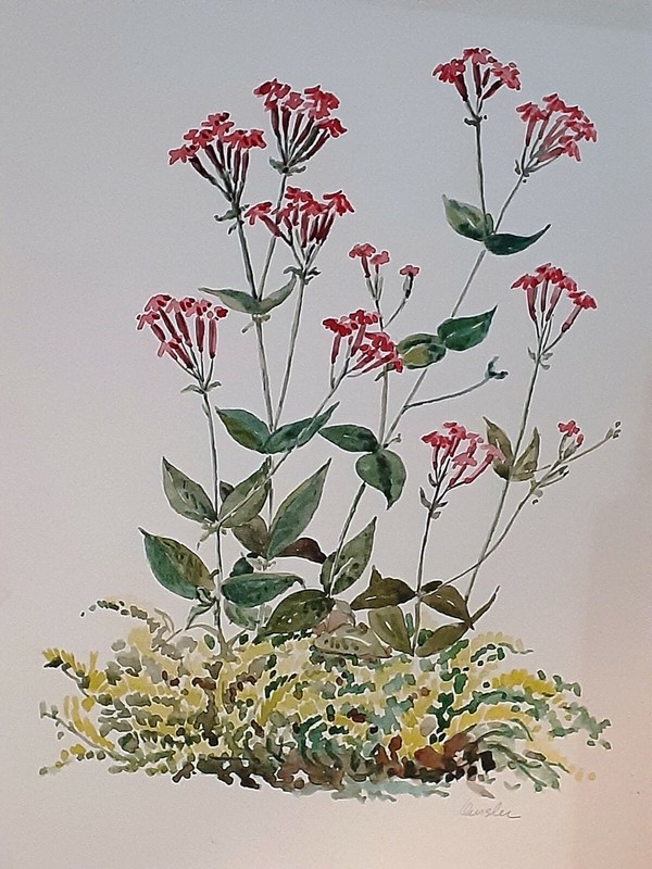 William Charles Oursler Watercolor paintings Signed Originals