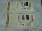 (K154)  HONG KONG 2009 MUSEUMS COLLECTION  on 2 fdc's