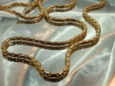 Wonderful Classy Gold Tone 35Inch Vintage 80's Lobster Claw Clasp Necklace 639s0