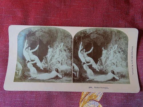 Lot 10 Photographies stéréoscopiques XIXe - B. W. Kilburn / Strohmeyer & Wyman - Picture 9 of 11