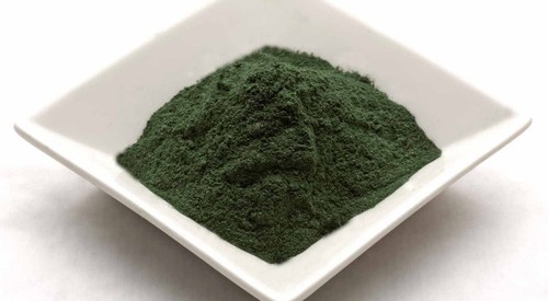 STEM CELL - Organic Blue Green Algae From Klamath Lake 500mg (1 Bottle)