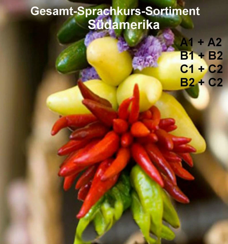 Spanisch(Südame) lernen Komplettpaket Sprachkurs Onlinekurs Sprachenlernen24 NEU - Bild 3 von 3