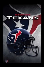 Houston Texans 1 Helmet NFL FOOTBALL TEAM  Sports -MAGNET