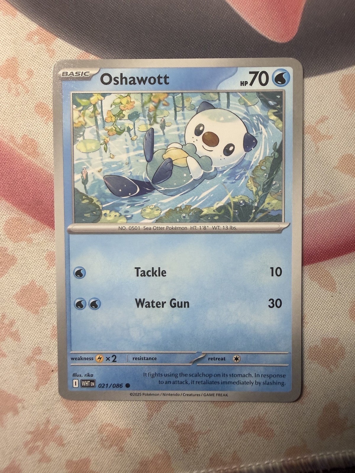 Oshawott Common SV: White Flare 021/086 NM English Pokemon Card