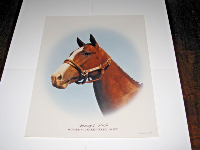 11 X 14 -- Photo of Sunny's Halo in the 1983 Kentucky Derby Winner (Chris Hall)