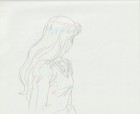 The Twelve Kingdoms Juuni Kokki Genga Douga Original Sketches Pierrot - Youko — photo 4