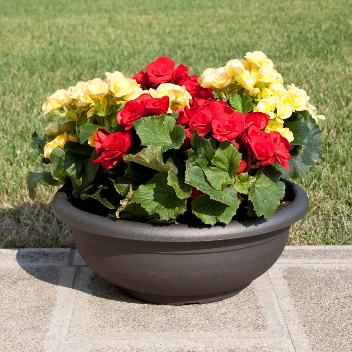 Blumenschale 60 cm rund terrakotta Schale Pflanzschale Blumentopf Blumenschalen