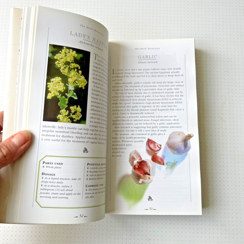 The Herb and Spice Companion - Richard Craze - Bild 3 von 5