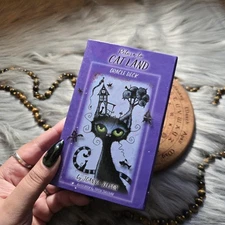 Return to Cat Land Oracle Deck Joanna Nelson 45 Card Oracle Deck USED