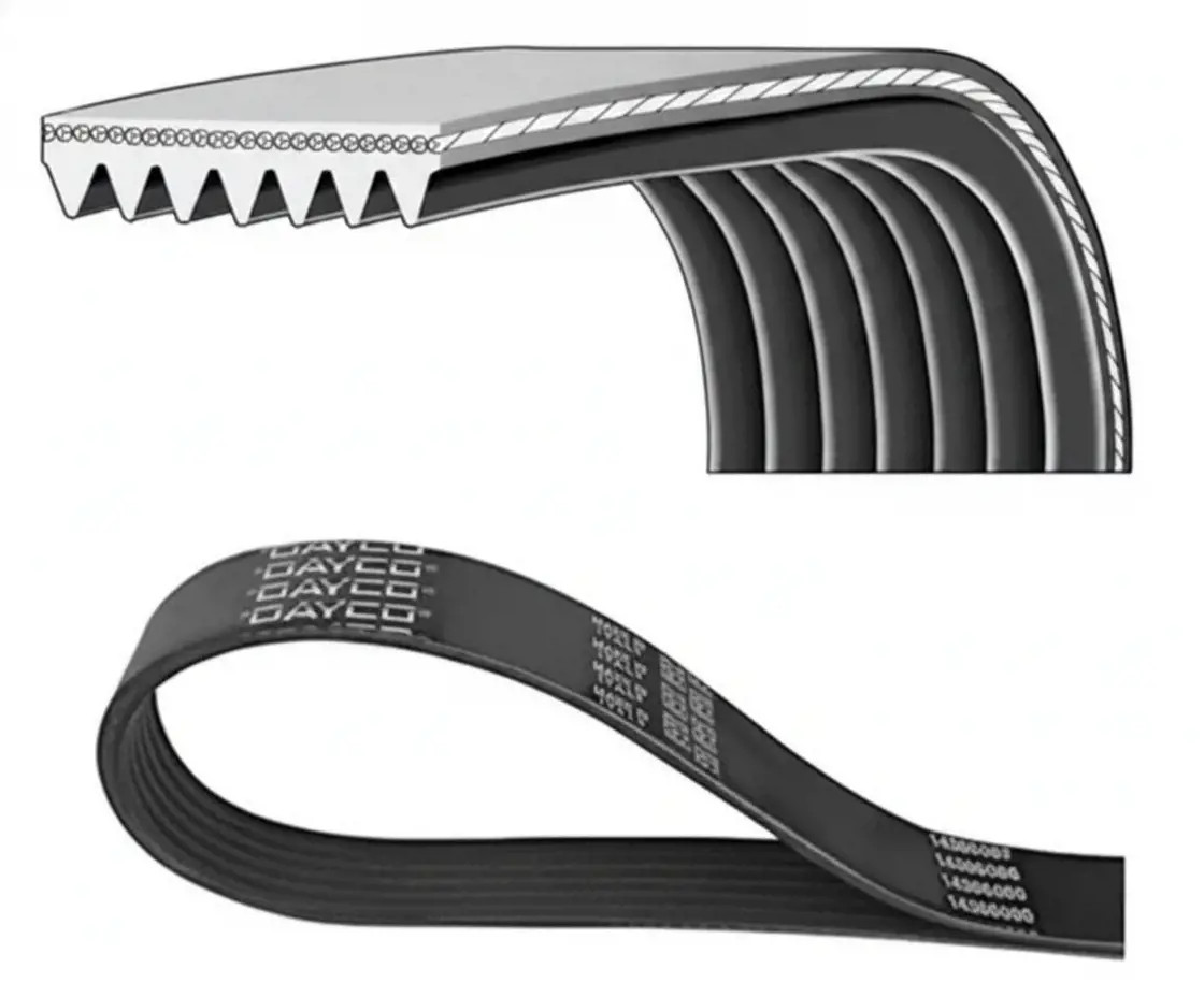 Cinghia trapezoidale multirighe 7PK1196H DAYCO - Immagine 2