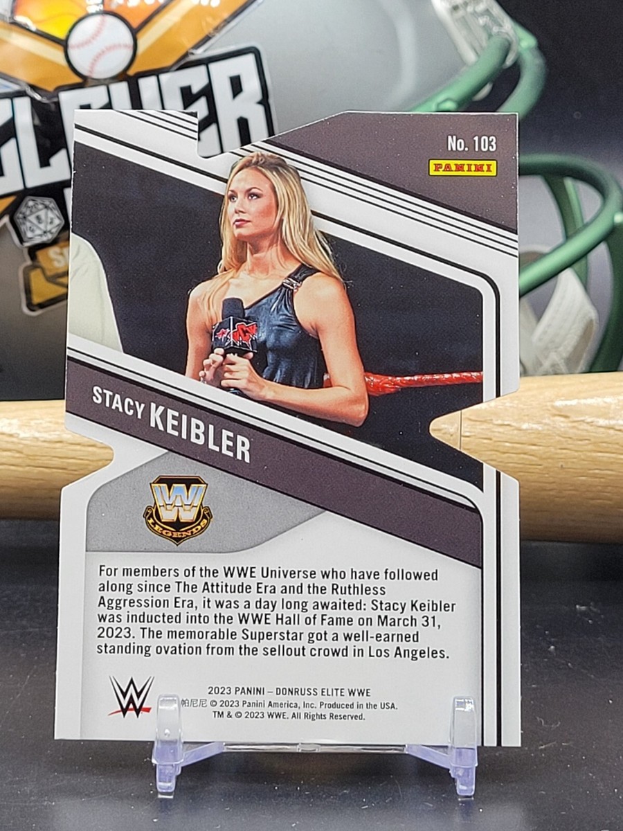 WWE Elite Stacy Keibler ステイシーキーブラー　ハンコック s-l400.png