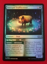 1x Intrepid Trufflesnout | FOIL | Wilds of Eldraine | MTG Magic Cards