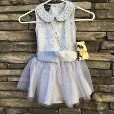 Biscotti Pearl Peter Pan Collar Lace Tulle Dress Silver Gray Girls SZ4 Party NWT