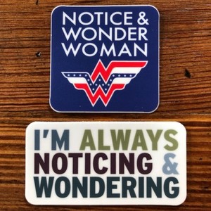Four-4-034-Notice-and-Wonder-034-Vinyl-Stickers-Math