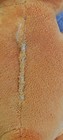 Bild 5 von 7