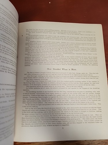 The Vital Question by H. D. Perky, 1897 3rd Ed, Shredded Wheat, Antique Cookbook - Picture 7 of 14